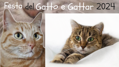 Festa del Gatto e Gattart