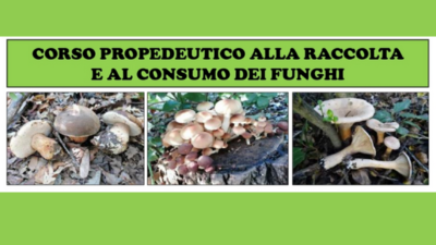 Corso Propedeutico alla raccolta e al consumo dei funghi