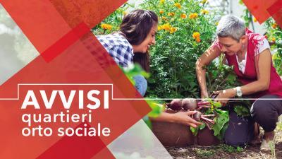 Orti sociali 2024