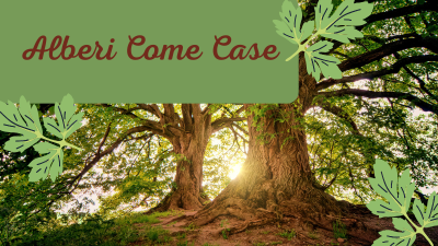 alberi come case