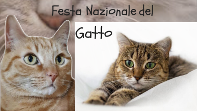 Festa Nazionale del Gatto