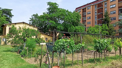 Diventa volontario alla Fattoria dei Ragazzi