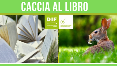Caccia al libro 