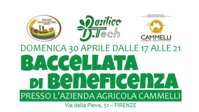 Baccellata di beneficenza