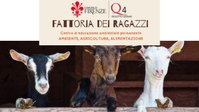 Fattoria dei Ragazzi: le attività da gennaio a marzo