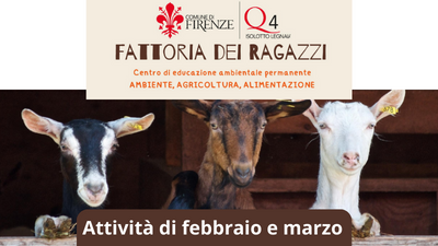Fattoria dei Ragazzi: le attività da febbraio a marzo