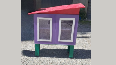 Little free library