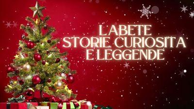 Un pomeriggio di magia e natura con "L'Abete: storie, curiosità e leggende"