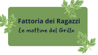 le mattine del grillo