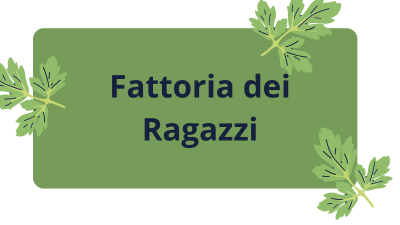 Fattoria dei ragazzi