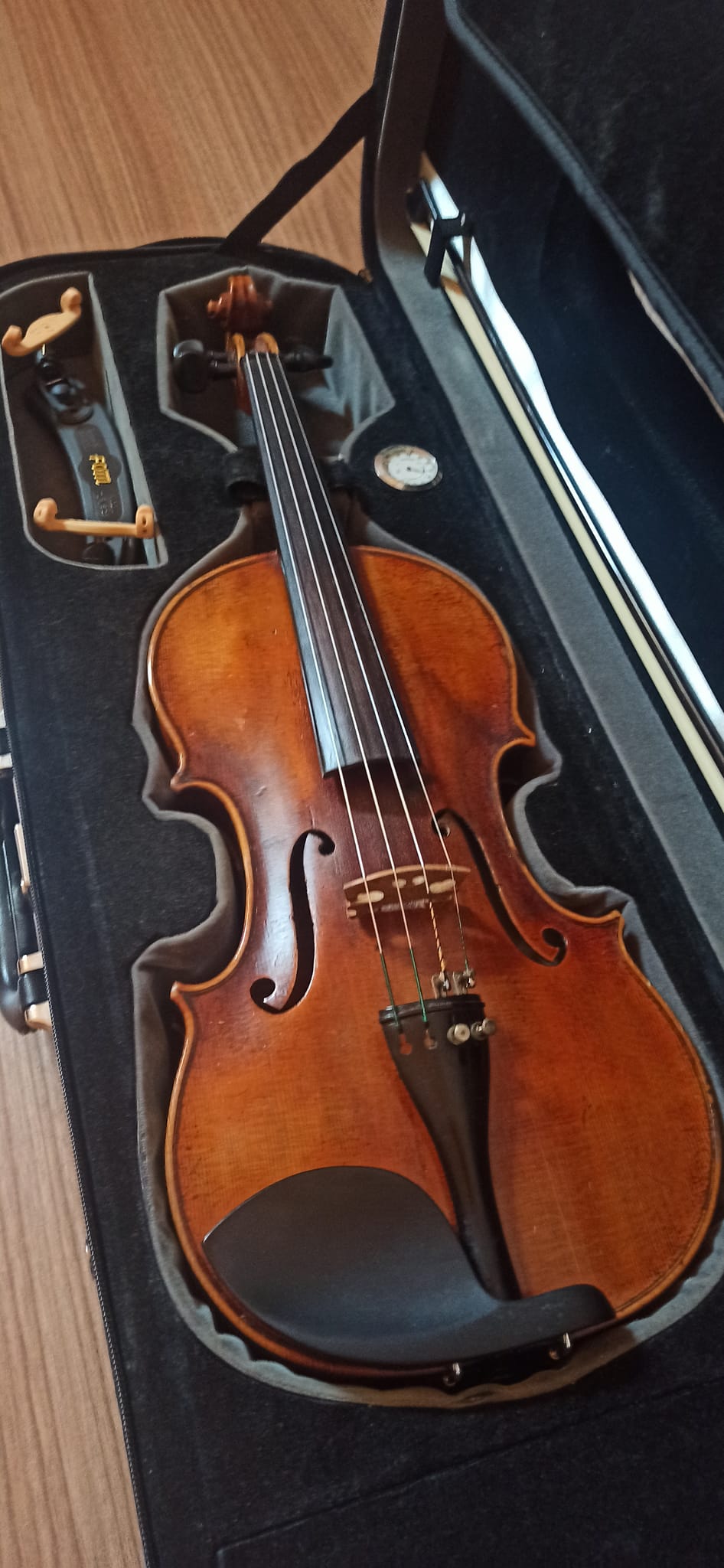 Aprile Resistente in Sala Consiliare: il violino di Luigi Manoni