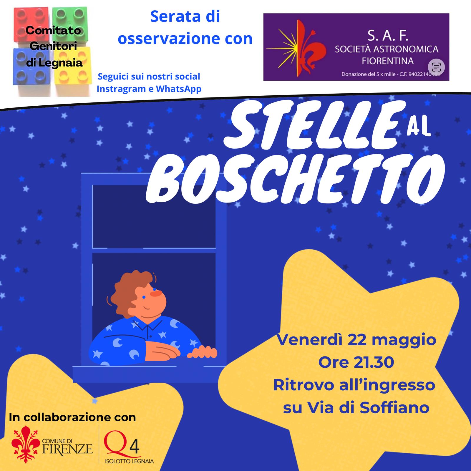 stelle al boschetto